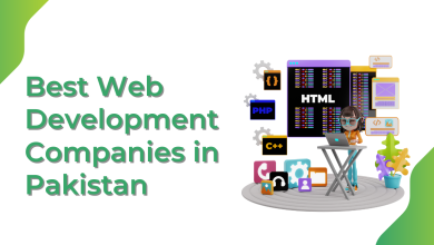 10 Best Web Development Companies in Pakistan